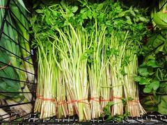 Những ai không nên ăn rau cần?