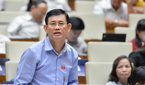 ĐBQH: 'Đề xuất không nên để xe trong tầng hầm chung cư, tôi bị ném đá'