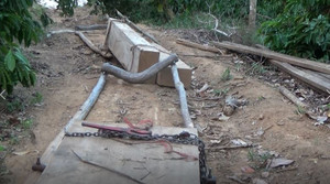 Gỗ trăm tuổi bị đốn la liệt trong rừng Nam Kar: Sở NN&PTNT vào cuộc