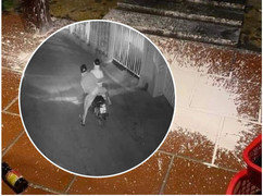 Nhà hàng ở phố cổ Hội An liên tục bị kẻ xấu tạt xăng, ném mắm tôm