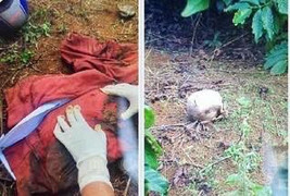 Bắt nghi phạm sát hại người phụ nữ rồi chôn xác tại vườn cà phê