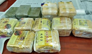 Triệt phá đường dây buôn bán ma túy lớn từ Lào về Việt Nam