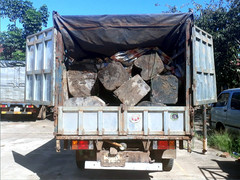 Tài xế bỏ chạy khi thấy công an, để lại xe tải chất đầy gỗ