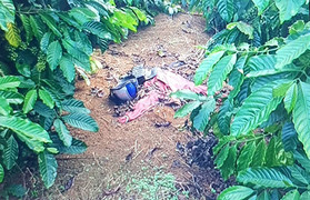 Người phụ nữ bị vùi xác ở vườn cà phê chết do tình nhân sát hại