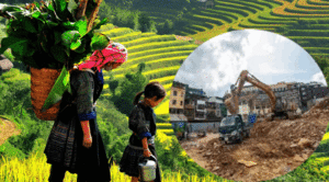 Sapa tan hoang: Những bộ óc tham lam, luộm thuộm, chỉ biết đến tiền