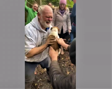 Chủ nhân òa khóc khi tìm thấy cún cưng mất tích nhiều ngày