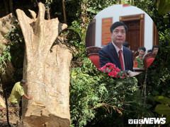 Bí thư Đắk Lắk: 'Rừng đặc dụng Nam Kar bị tàn phá là việc rất nghiêm trọng'