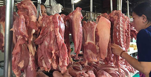 Bộ NN&PTNT: 'Không để lợn nhập lậu tràn qua biên giới'