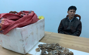 Bắt quả tang vụ vận chuyển 20kg vảy tê tê