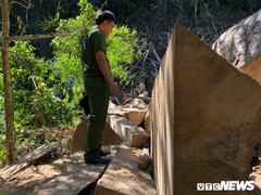 Thống kê lượng gỗ bị lâm tặc chặt trong rừng đặc dụng Nam Kar: 3 cơ quan, 3 số liệu