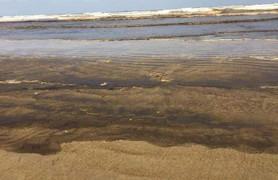 Cận cảnh biển Quảng Ngãi nhuốm màu đen nâu bất thường