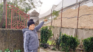 Nhà máy chế biến gỗ dăm nhả bụi ngày đêm, hàng chục hộ dân Hà Tĩnh kêu trời