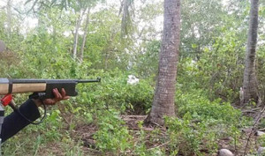 Vào rừng hái rau quả, người đàn ông bị thợ săn bắn nhầm