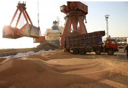 Trung Quốc miễn áp thuế đối với đậu tương và thịt lợn Mỹ