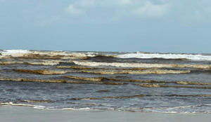 Nước biển nhuốm màu đen sẫm ở Quảng Ngãi: Không có vết dầu loang