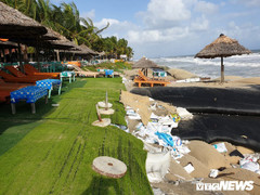 Rót gần 40 tỷ đồng chống xói lở khẩn cấp bờ biển Hội An