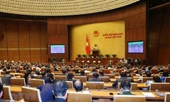 Nghị quyết về công tác phòng, chống tội phạm và vi phạm pháp luật