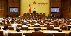 Sớm ban hành quy định về cách xác định hàng hóa của Việt Nam