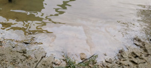 Xuất hiện vệt dầu loang tại thượng nguồn nơi cấp nước cho thành phố Vinh