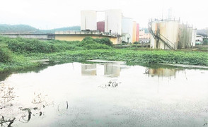 Nhà máy cồn bốc mùi thối ở Quảng Nam: Chủ tịch tỉnh chỉ đạo ‘nóng’