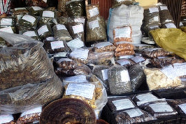 Khởi tố vụ án buôn lậu dược liệu 'đội lốt' hoa quả khô