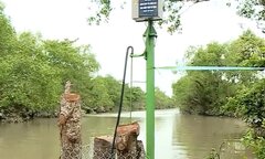 Nước mặn bất ngờ tấn công Vĩnh Long