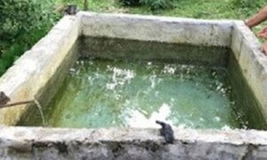 Rơi xuống bể nước sinh hoạt nhà hàng xóm, bé 2 tuổi chết thương tâm