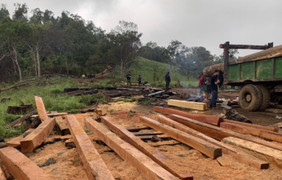 Khám nghiệm hiện trường vụ phá rừng quy mô lớn ở Đắk Lắk