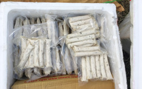 Hơn 2 tấn hàng lậu trên xe khách Hà Nội - Đà Nẵng