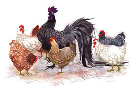 Ngày, giờ xuất hành tốt cho người tuổi Dậu năm Mậu Tuất 2018