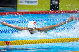 Chuyện một thầy, một trò có ảnh hưởng tới thành tích của Ánh Viên?