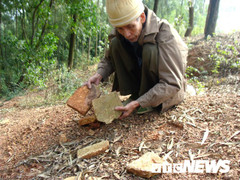 Quả núi thiêng chứa đầy báu vật ở Hải Phòng và nỗi kinh sợ của những ‘kẻ cướp mộ’