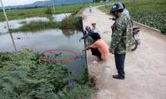 Chở con trai qua cầu không lan can, mẹ rơi xuống vực nước chết đuối