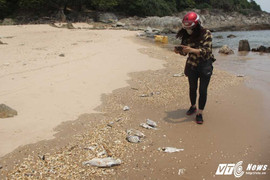 Cá chết hàng loạt ở miền Trung: Giám đốc Sở TN&MT Hà Tĩnh xin rút kinh nghiệm, về suy nghĩ thêm