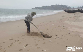 Sự cố môi trường biển miền Trung: Quá hạn 15 ngày vẫn chưa có kết quả kiểm điểm