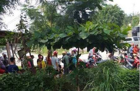 Người đàn ông chết trong tư thế treo cổ, chân vẫn chạm đất