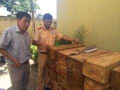 CSGT Hà Nội bắt giữ xe ô tô 7 chỗ vận chuyển gỗ pơ mu trong đêm