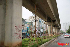 Sau hai đêm, nhiều cây xanh 'mọc' lên dưới gầm đường sắt Cát Linh - Hà Đông