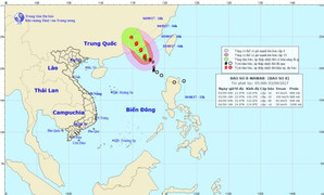 Tin mới nhất cơn bão số 8 trên Biển Đông