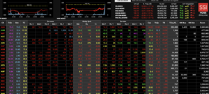 Chứng khoán giảm sâu, 'ngôi sao' của thị trường thuộc về ROS