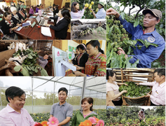 Từ 1/3, hộ nghèo được nâng gấp đôi mức vay, tối đa 100 triệu đồng