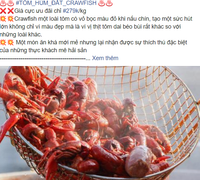 Bất chấp lệnh cấm, tôm hùm đất vẫn được rao bán tràn lan trên mạng