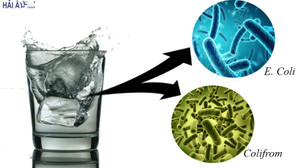 Đá sạch từ máy làm đá viên tinh khiết Hải Âu