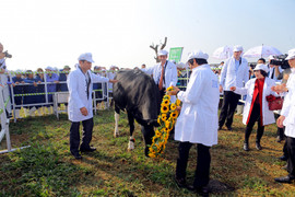 Cơ hội 'vàng' của ngành công nghiệp chế biến nông sản