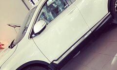 Mới đi 10.000km, chiếc Honda CR-V đã 'nát bét' do chuột