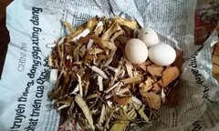 Sự thật chuyện 'con ma thuốc độc' hại người ở Quảng Bình