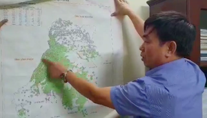 Hà Nội: 300 hộ dân bỗng nhiên thành 'người ở trong rừng'