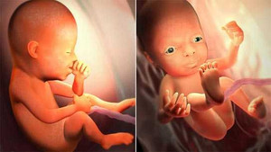 Những điều kỳ diệu thai nhi biết làm ngay từ khi ở trong bụng mẹ