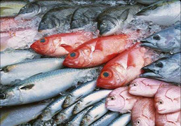 Bất ngờ: Ăn cá tươi sống chưa hẳn tốt bằng cá đông lạnh