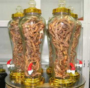 Bác sĩ tư vấn 3 bài rượu thuốc 'ông uống, bà khen'